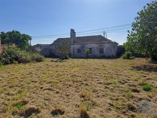 Startseite / Villa in Marinha Grande, Leiria