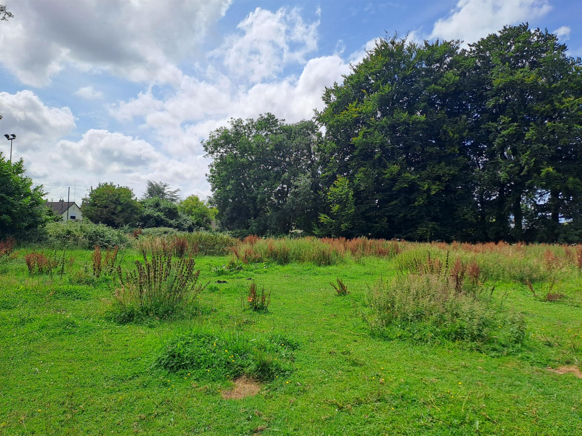 For Sale - Angiens (76740) - Building land 2000 m2