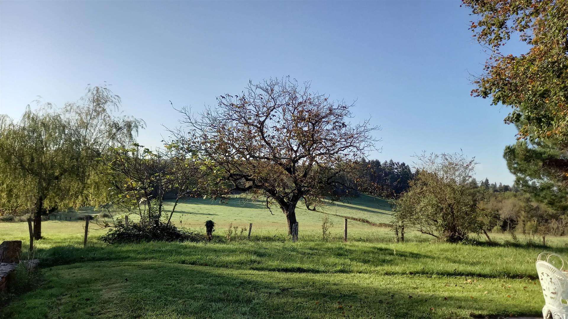 Stone house with outbuilding and 17 hectares of land in Sarlat