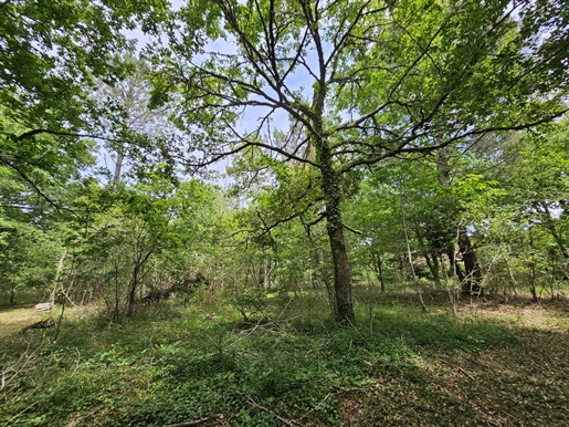 Terrain à bâtir arboré, borné de 1502m² avec viabilités en