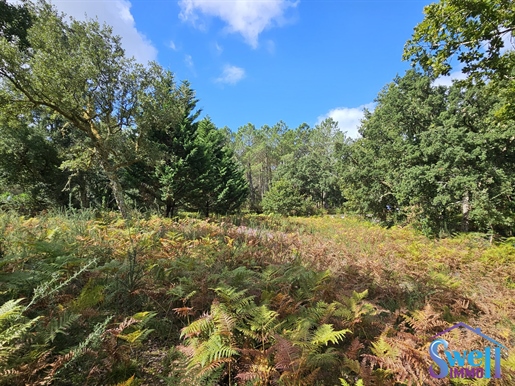 Terrain à bâtir de 1 537m² arboré avec viabilisation en bord