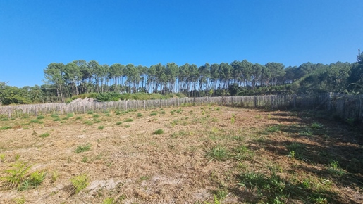 Building plot of 559m² with permit accepted and purged of to