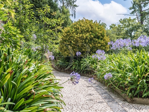 Château Monte Sereno - Propriété de 6 198 m² dans le Parc Naturel de Sintra