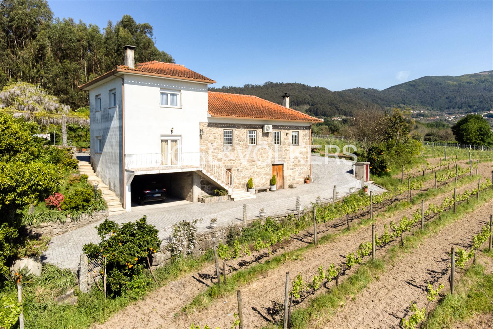 Huisje met drie hectare wijngaard