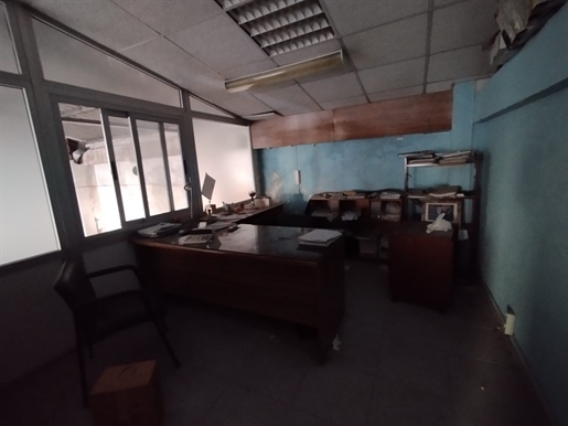 Additional image 2 of Jacarilla (Alicante)