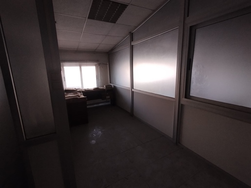 Additional image 3 of Jacarilla (Alicante)