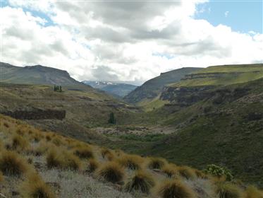Nieruchomość Patagonia
