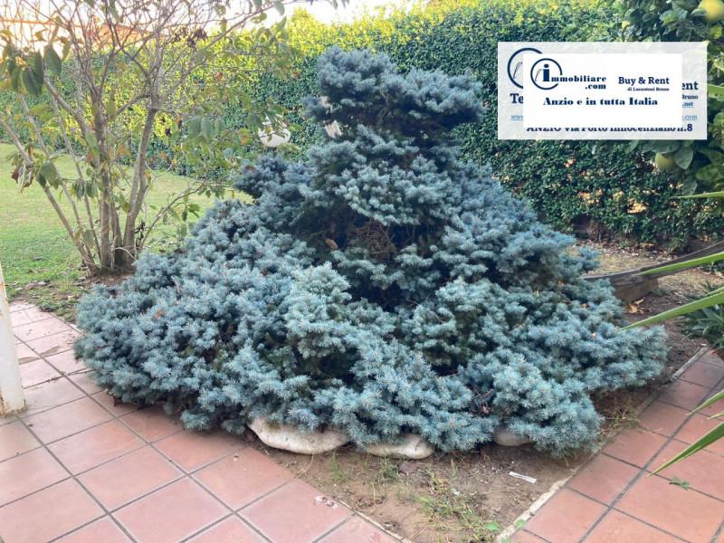 Purchase: House (00042)