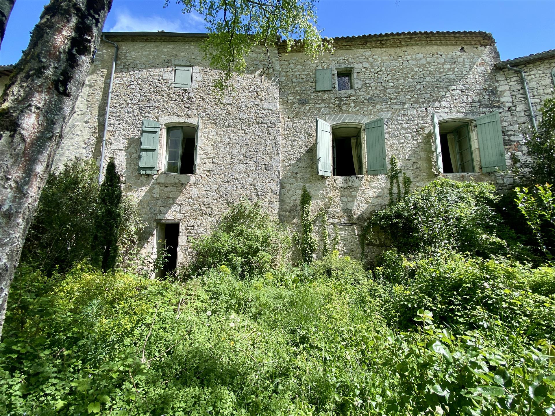 Exceptional Historic house - Issigeac