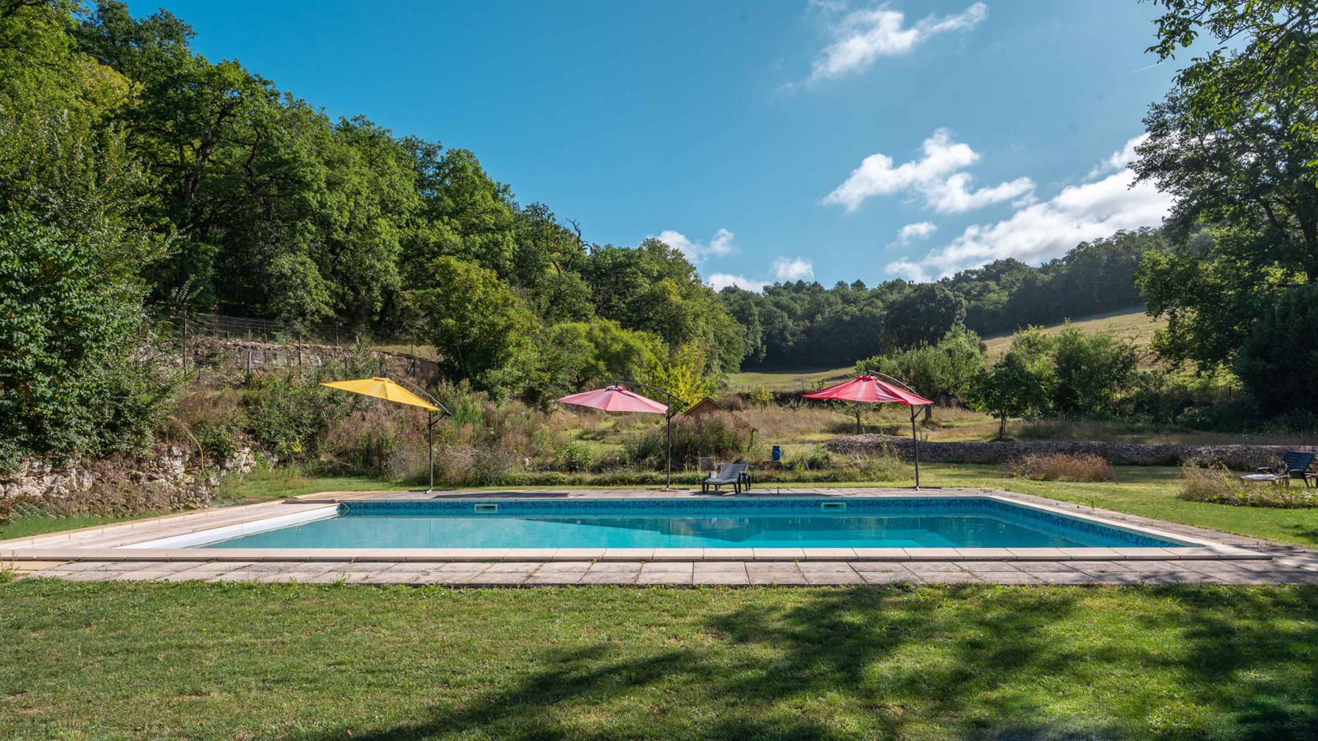Château with gîtes and outbuildings on 67 hectares
