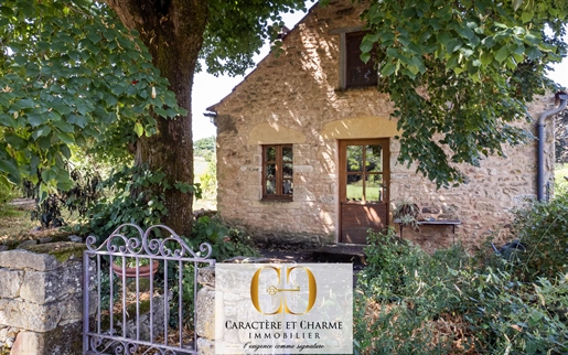 Near Saint Cyprien: Small restored farmhouse 130 m2 on 8,000 m2 of land. Calm and charm.