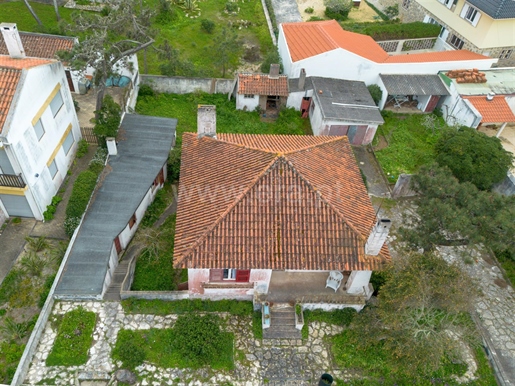 Haus T4 | São Pedro de Moel, Marinha Grande