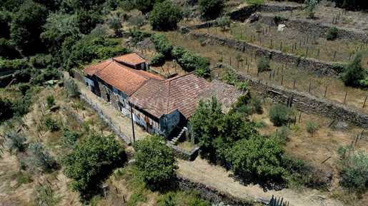 Quinta - Vila Marim, Mesão Frio