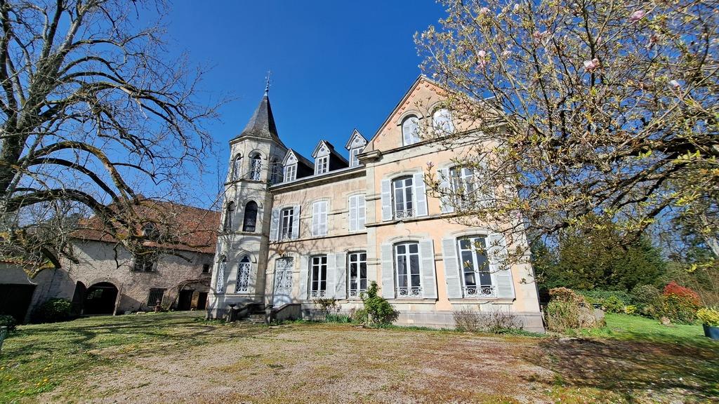Castillo de Napoleón III con parque y dependencias