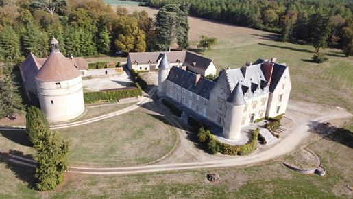 Castello del 16° e 19° secolo con 3 case annesse in un parco di 18 ettari. –