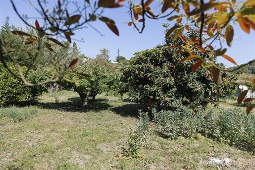 Additional image 11 of Estepona (Málaga)