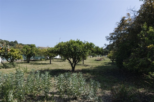 Additional image 12 of Estepona (Málaga)