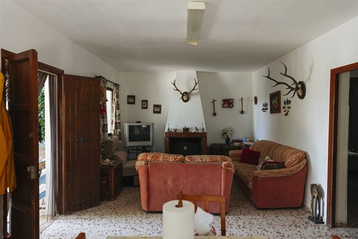 Additional image 14 of Estepona (Málaga)