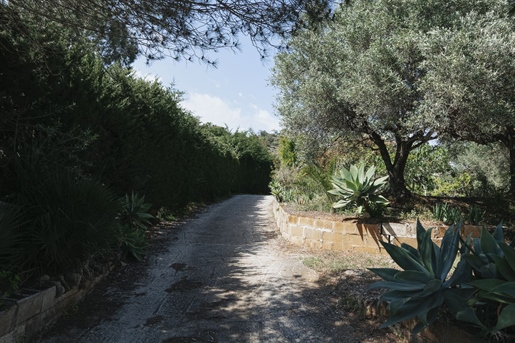 Additional image 2 of Estepona (Málaga)