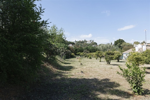 Additional image 4 of Estepona (Málaga)