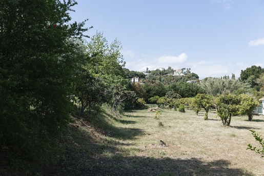 Additional image 5 of Estepona (Málaga)