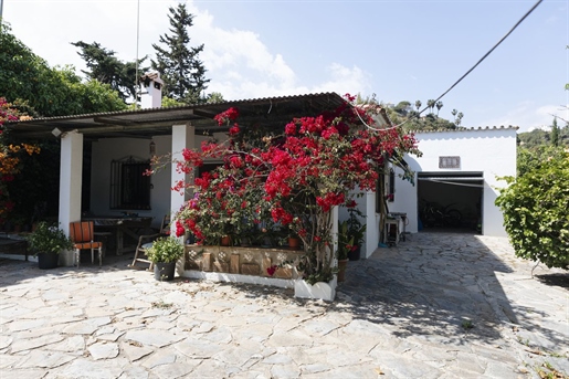 Additional image 8 of Estepona (Málaga)