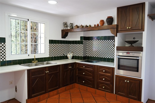 Additional image 16 of San Pedro Alcántara (Málaga)