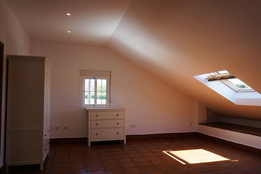 Additional image 8 of San Pedro Alcántara (Málaga)