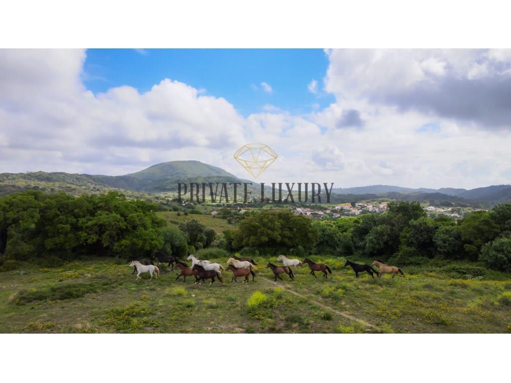 Homeland with 271 hectares in serra da Arrábida - Setubal
