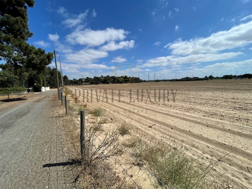 Land with logistical or industrial potential with 255,404m2
