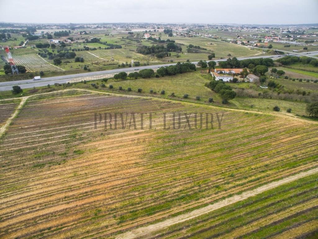 Vineyards Peninsula of Setúbal, houses, annexes and warehouse, 45Ha.