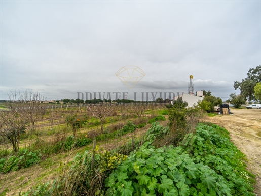 Vineyards Peninsula of Setúbal, houses, annexes and warehouse, 45Ha.