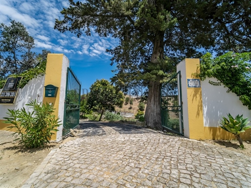 Farm with 11204m2 just 15 minutes from Lisbon.