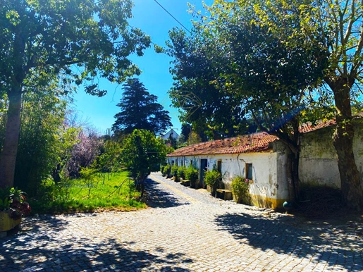 Farm with 11204m2 just 15 minutes from Lisbon.