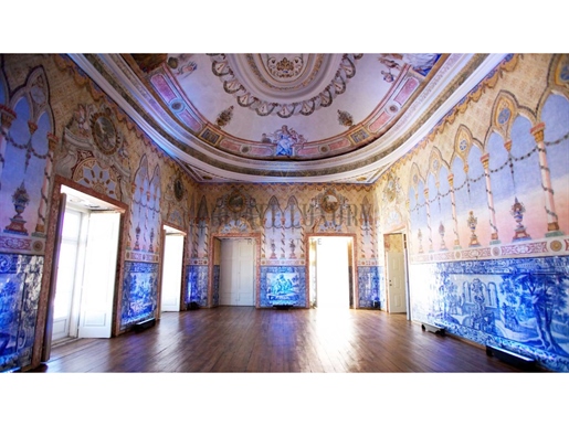 Palace century. Xvi - 30 rooms - 4905m2 + 4000m2 land - Lisbon