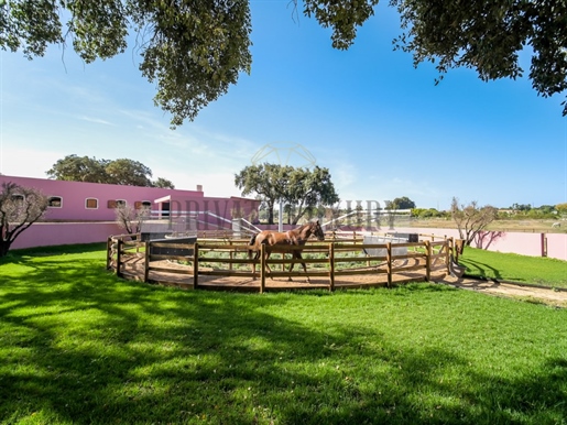 Exceptional Equestrian Estate to train Horses in Palmela