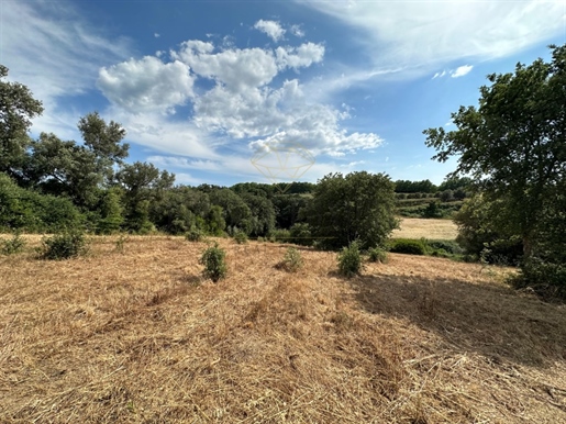 Land with 11000m2 and possible 200m2 of construction area