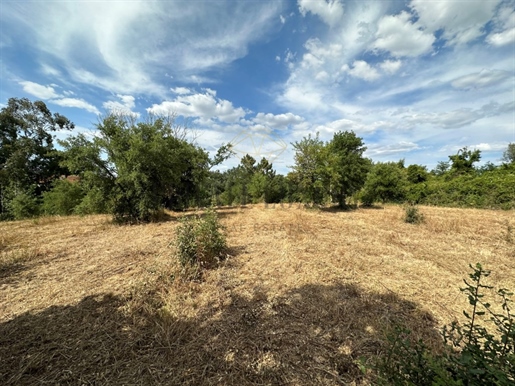 Land with 11000m2 and possible 200m2 of construction area