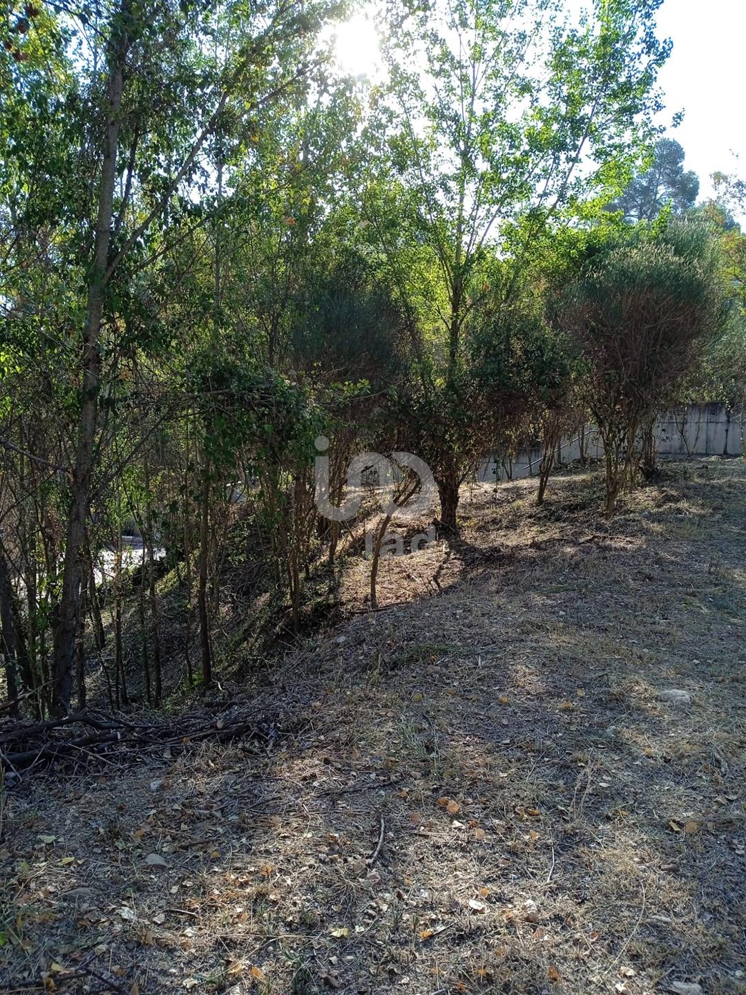 Terreno - 830 m2