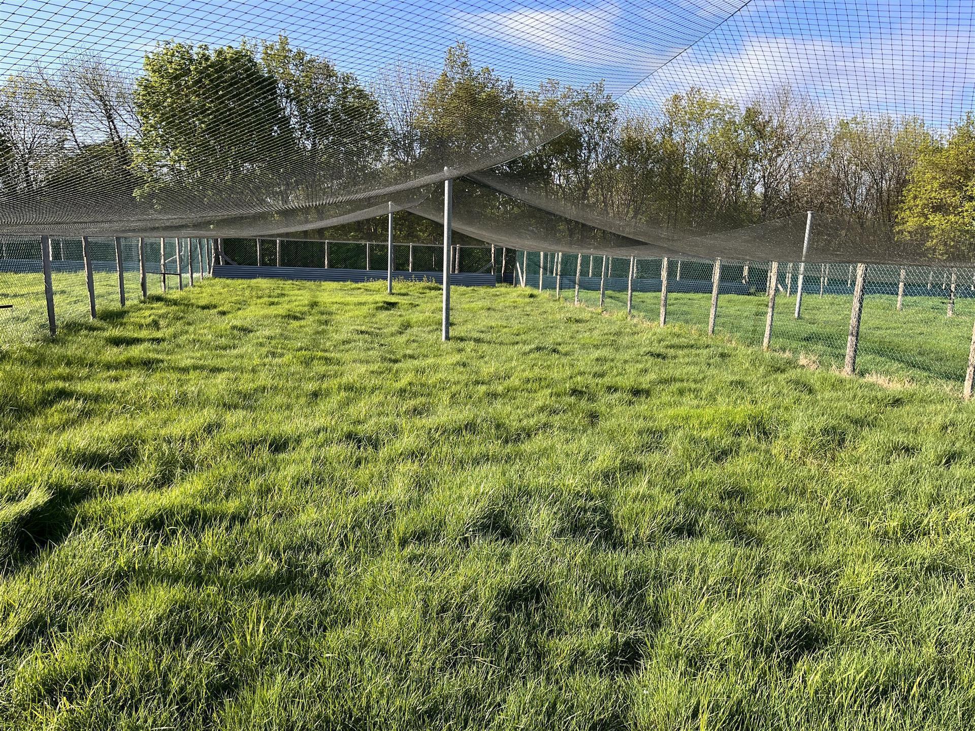 Oportunidade de aproveitar: Um cantinho da França autêntica: 9ha para uma atividade agrícola, agriv
