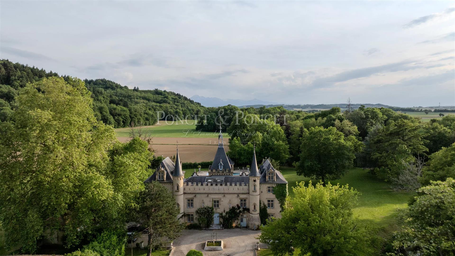 Rare Neo-Gothic Castle