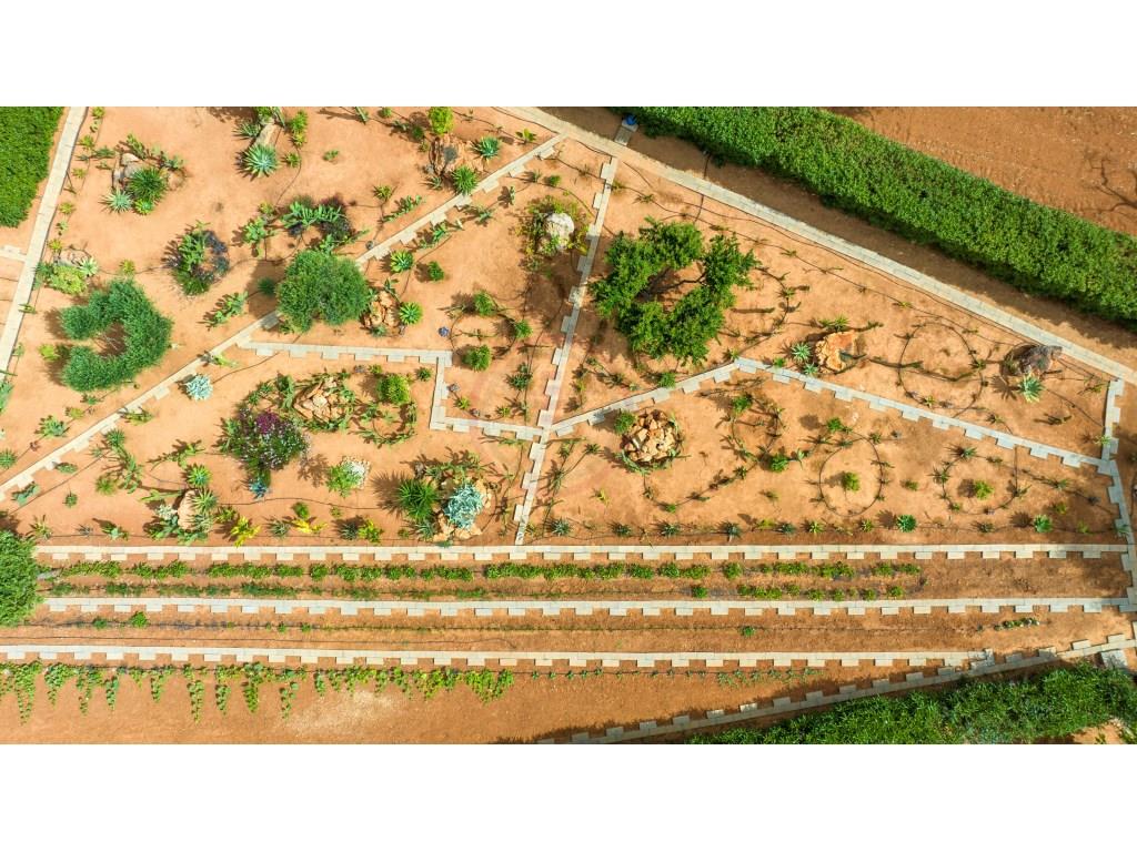 Luxurious Farm in Estoi with Breathtaking Views