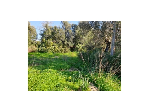 Land with approved project - Algoz Zone