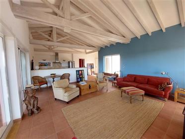 Property with an area of around 15,000m2 (1.5 hectares), consisting of a 3-bedroom villa, swimming p