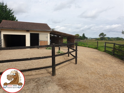 Property with 2 horse houses