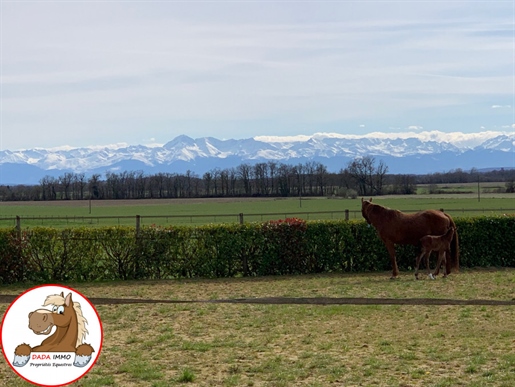 Granja de caballos, 36 hectáreas con vistas a los Pirineos