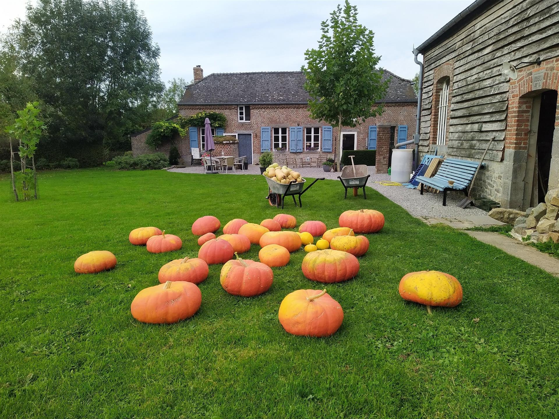 Fermă franceză 