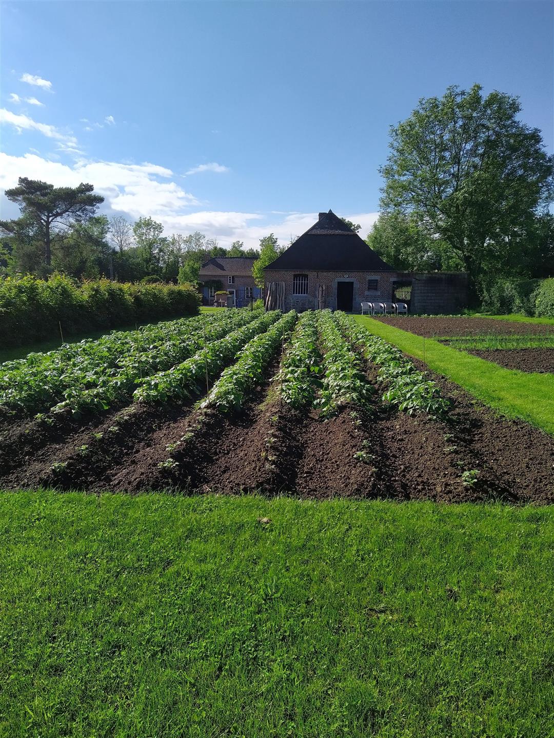 Fermă franceză 