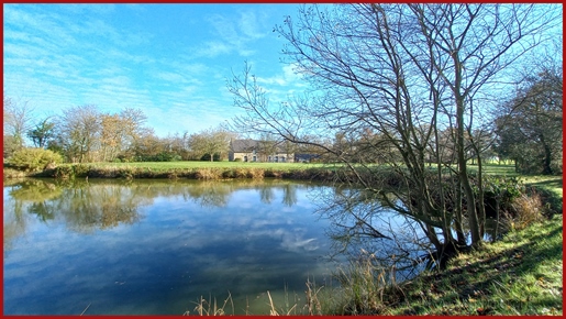 Encantadora casa de campo de piedra con estanque en Bretaña (22)
