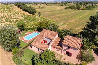 For sale delightful country house with pool in Cortona, Tuscany.